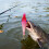 7pcs Artificial Hard Baits Lures Baits Cuttlefish Hook 5.5cm 5