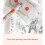 Multipurpose Home Cloth Mop With Stainless-mop and 1 cloth 5