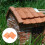 Orange keramik ler tagsten 50 stk. 4