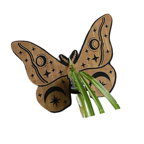 Rustics Wood Wall Shelf For Leaf Decoration With Eye-ms9540
