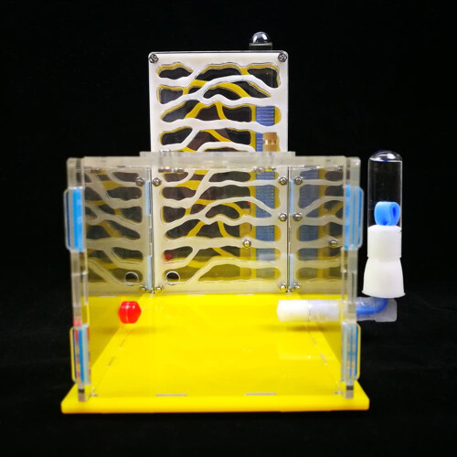 Βίλα Ant House Farm με ακρυλική φωλιά και χώρο σίτισης 2