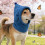 Comfortable Dog Plush Hat For Cold Weather Winter Warm-grey M 5