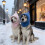 Comfortable Dog Plush Hat For Cold Weather Winter Warm-grey M 6