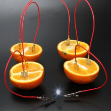 Kit per esperimenti scientifici sulla batteria alla frutta