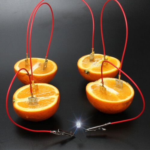 Experimentierkasten mit Fruchtbatterie