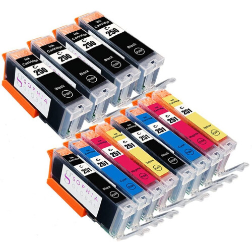 Συμβατό δοχείο μελάνης για Canon PGI-250 12-Pack