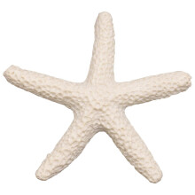 15 Creamy White Finger Starfish compatible with Wedding Decoration, Home Decoration and Craft Projects