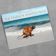 2024 Calendar - Dogs Pooping In Beautiful Places Wall Calendar January 2024 From December, Funny Wall Art Gag Humor Gift Prank Calendar, Gifts for Fri