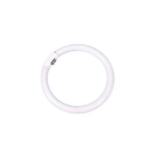 22W T5 Tricolor Ring Lamp, Outer Diameter 18cm, White Light