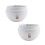 2 pcs Self-Watering Plastic Hanging Flower Pot Basket with Hook and Removable Base 1