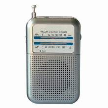 DE333 Portable Mini Pocket Size Two Band AM/FM Radio Receiver Recorder