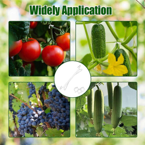 Tomato Hooks with String, Plant Support Clips for Climbing Plants 1