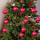 Silver Christmas Tree Ornament 4.72 Inch 5