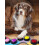Recordable Speaking Button Pet Training Communication Toy 4