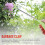 2 pcs 60CM Garden Garbage Collector Clamp Garbage Claw Tool 4