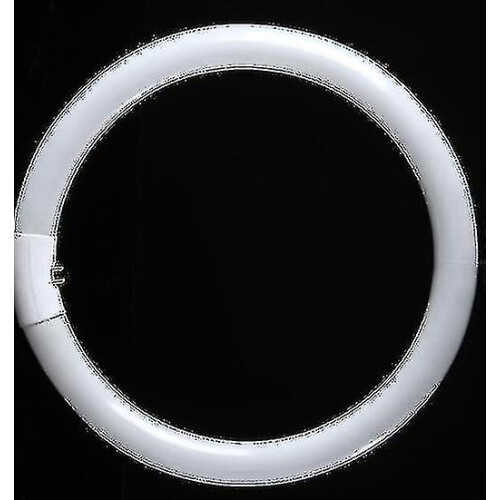 22W T5 Tricolor Ring Lamp, Outer Diameter 18cm, White Light 1