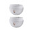 2 pcs Self-Watering Plastic Hanging Flower Pot Basket with Hook and Removable Base 2