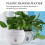 2 pcs Self-Watering Plastic Hanging Flower Pot Basket with Hook and Removable Base 4