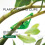 20 pcs Adjustable Low Stress Training Plant Support Clips compatible with Plant Training Stem Support 3