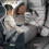 2 Pcs Universal Seat Belt Lock Cover, Prevent Unintended Unlocking 3