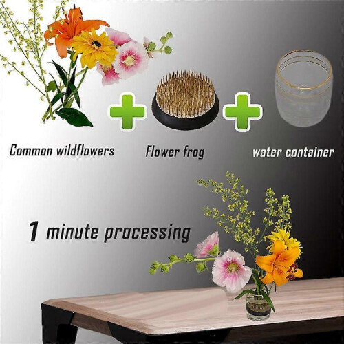 Conjunto de 3 suportes redondos japoneses Kenzan de 2 polegadas para flores, compatíveis com fixação de flores. 1