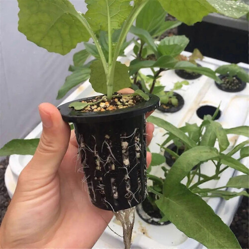 100 pezzi di bicchieri di plastica nera con rete forata per giardinaggio senza terra 1