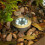 Solar Waterproof LED Ground Light for Garden Yard, Cool White, compatible with [Brand] 4