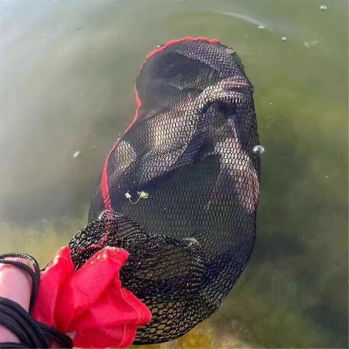 Foldable Fishing Net Bag Thickened Fish Net Small Mouth Mesh Flat Bottom Protective Storage 2