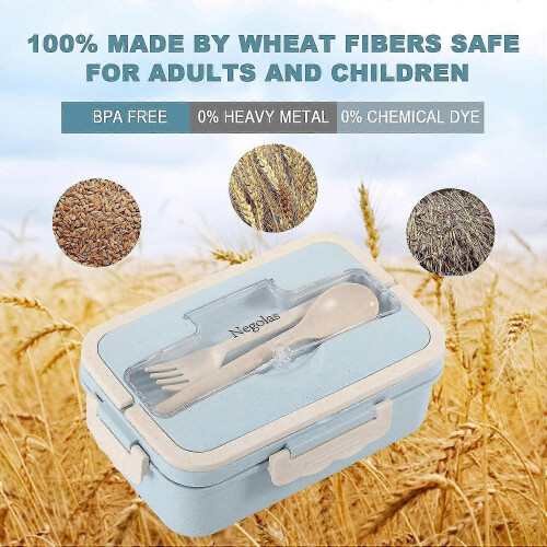 3 Comments Lunch Box with Cutlery For 1