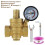 3/4inch DN20 Brass Water Pressure Regulator Adjustable Relief Valve 4