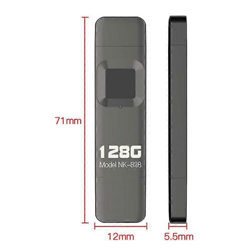 128G Fingerprint Encrypted U Disk Mobile Phone Computer Dual-Use High-Speed Flash Memory 1