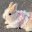 Harnais de lapin Bowknot avec gilet en polyester-Rose M 3