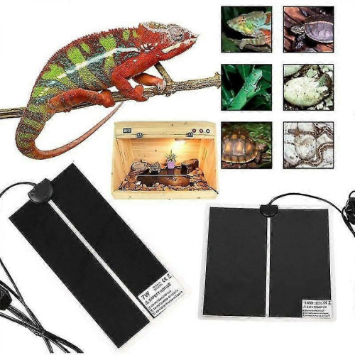 Crawler PET Heating Mat Heating Mat Heating Mat Heating Mat with Temperature Switch Pet Mat -H 1