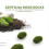 20 Artificial Moss Stones in 2 Sizes, Decorative Stones with Green Moss 2