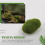 20 Artificial Moss Stones in 2 Sizes, Decorative Stones with Green Moss 3