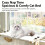Lit hamac pour chats, peu encombrant, pour petits chats, avec 7