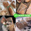Honeycomb Packing Paper Sheets with 1.6X Stretchability compatible with Moving Shipping 5