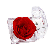Stylish Acrylic Rose Jewelry Box Enhancing Room Decoration-Red
