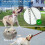 Retractable Leash, Nylon with Chew Proof Chain, Heavy Duty for Medium Large Dogs 3