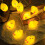Easter Chick String Lights Yellow 300cm 5