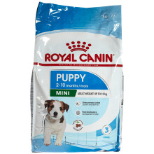 Royal Puppy Mini Junior 8kg