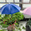 Verstellbare Gartenschirme, Sonnenschirme,-Rosa 3