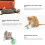 LED-kattenbal, zelfdraaiend, USB-oplaadbaar, groen 4