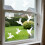 9Pieces Bird Impact Resist Window Clings Quality Clear Adhesive 2