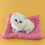 Cuscino sonoro a forma di gatto in peluche (1 pezzo) 2