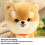 Gallickan gosedjurshund 18 cm 5