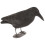 East Anglian - Flocked Crow Decoy - full size with legs 1