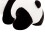 Peluche Panda da 20 cm 4