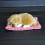 Slapend puppyhondje met geluid, wit 6