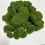 Artificial Moss Stone for Bonsai and Terrarium Decor 1